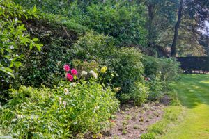 Photo 11- click for photo gallery